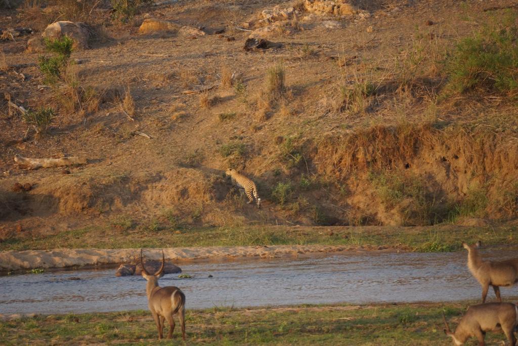 Вилла Tau @ Kruger Марлот-Парк Экстерьер фото